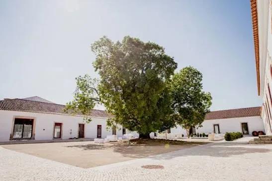 Quinta da Lapa — fotografia 5