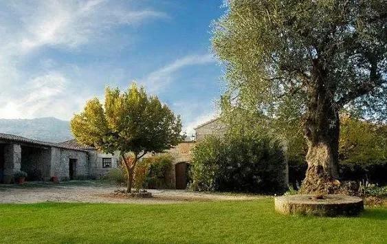 Quinta do Pinheiro - Hotel Rural — fotografia 3